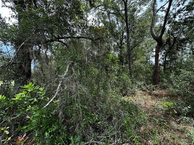 0000 NE 155TH COURT, Williston, FL 32696