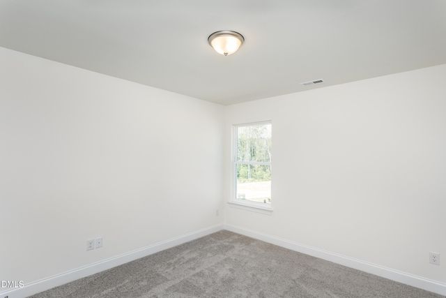 56 Flannel Court 251, Benson, NC 27504