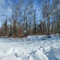 1969 S Clara Circle, Lot 12, Talkeetna, AK 99676