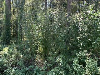 0 Buck Lake Road, Tallahassee, FL 32317