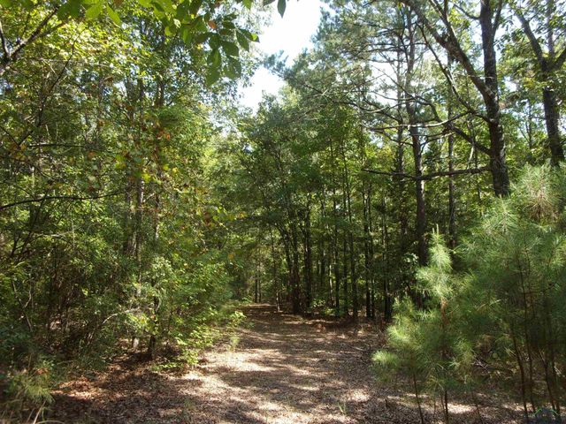 811 CR 1762, Linden, TX 75563