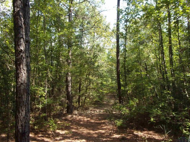 811 CR 1762, Linden, TX 75563