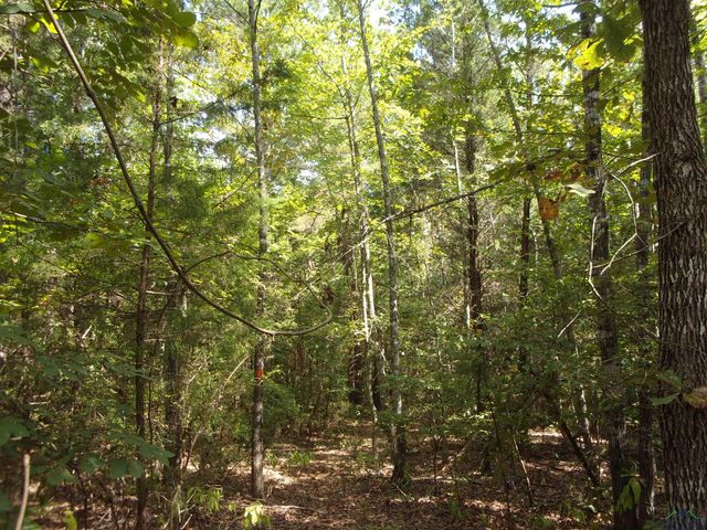 811 CR 1762, Linden, TX 75563