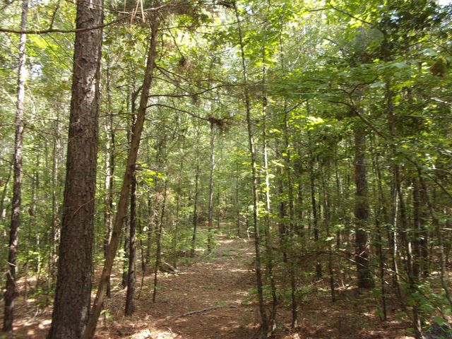 811 CR 1762, Linden, TX 75563