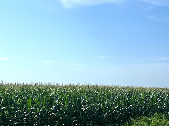 00 County Road 403, El Campo, TX 77437