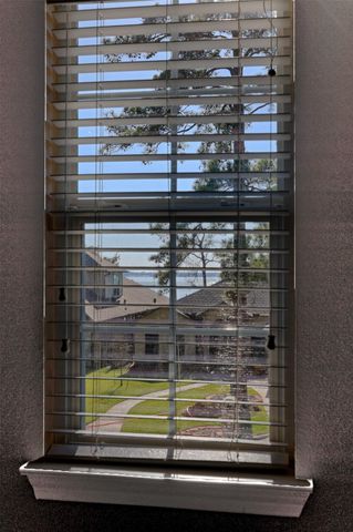 14918 Pollux Drive, Willis, TX 77318