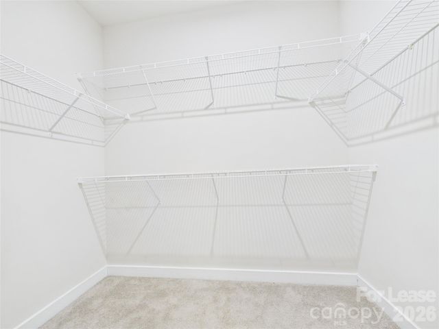 3131 Coquina Lane, Charlotte, NC 28206