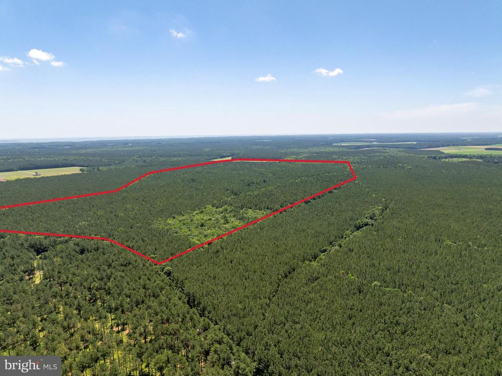 0 PATEY WOODS RD, Newark, MD 21841