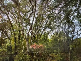 0 SE 141ST AVENUE, Ocklawaha, FL 32179