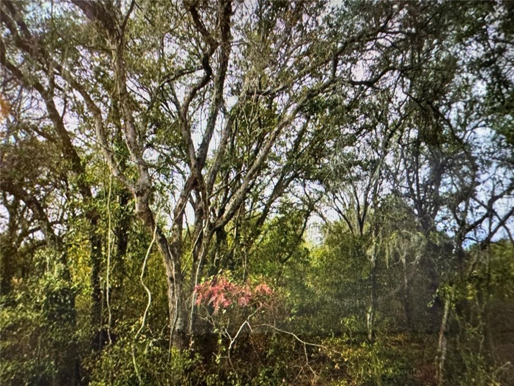 0 SE 141ST AVENUE, Ocklawaha, FL 32179