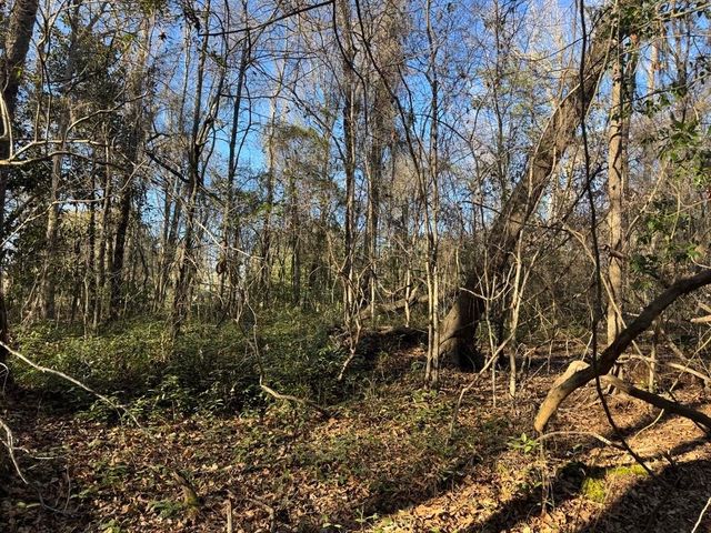 2135 Highway 646, Green Sea, SC 29545