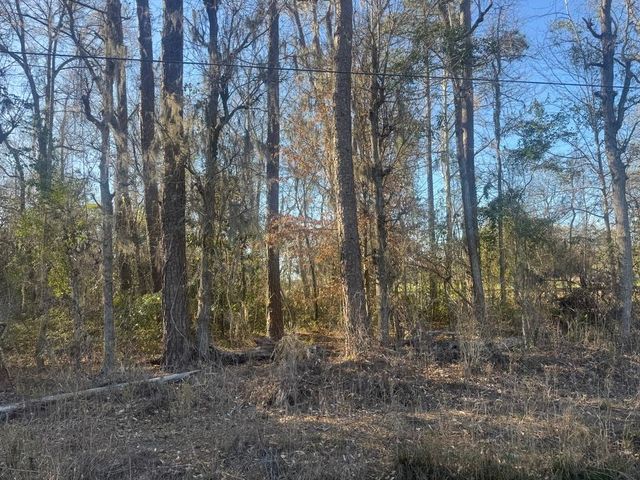 2135 Highway 646, Green Sea, SC 29545