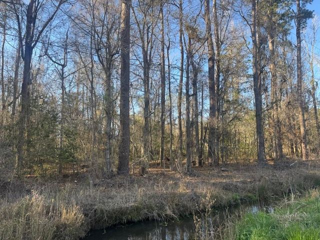 2135 Highway 646, Green Sea, SC 29545