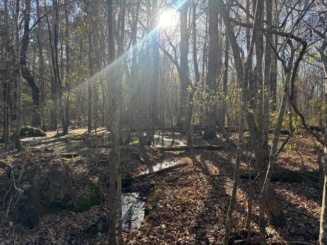 2135 Highway 646, Green Sea, SC 29545