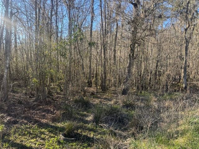 2135 Highway 646, Green Sea, SC 29545