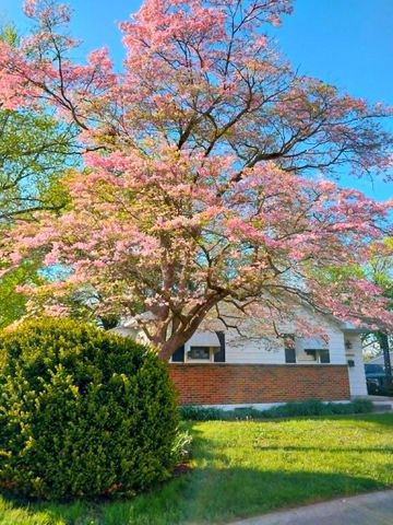 16 VARMAR DR, New Castle, DE 19720
