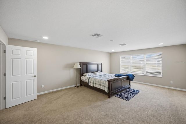 2909 IVORY BLUFF COURT, Zephyrhills, FL 33540