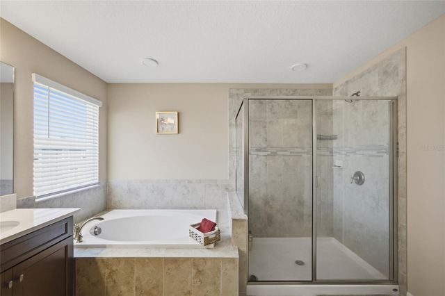 2909 IVORY BLUFF COURT, Zephyrhills, FL 33540