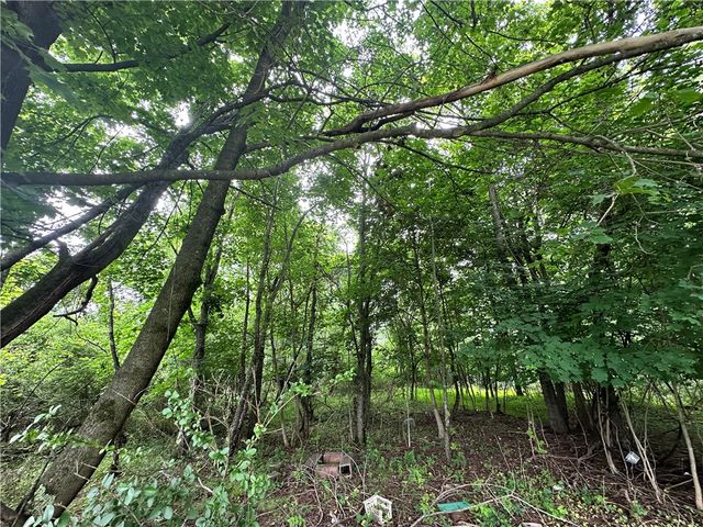 0 Holly Alley, Brownsville, PA 15475