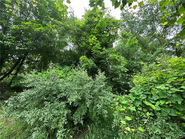 0 Holly Alley, Brownsville, PA 15475