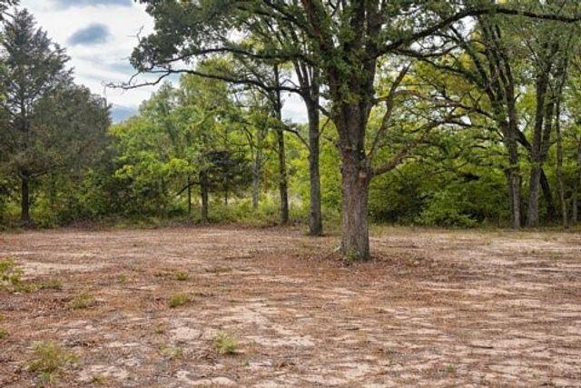 132 Prewitt Street, Mabank, TX 75156