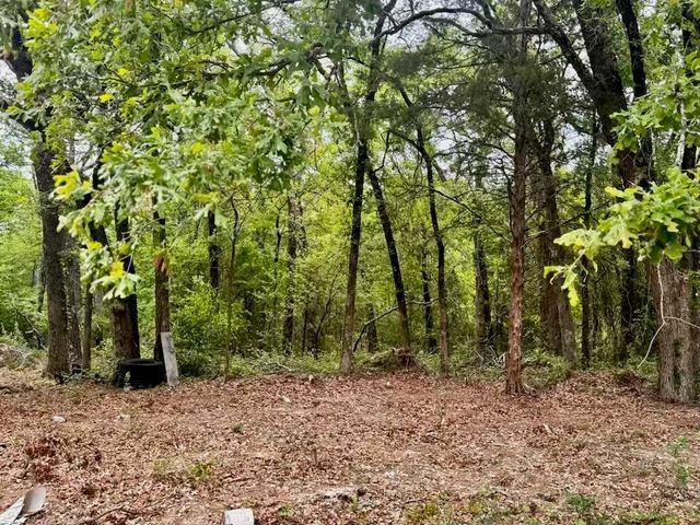 132 Prewitt Street, Mabank, TX 75156