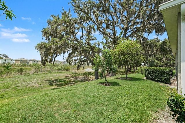 31457 MANGO FADE WAY, San Antonio, FL 33576