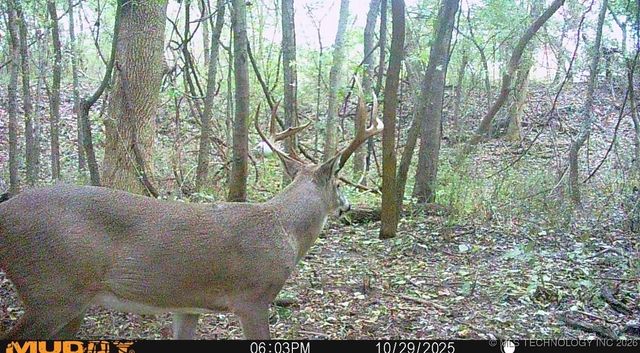 32868 E 171st Street S, Coweta, OK 74429