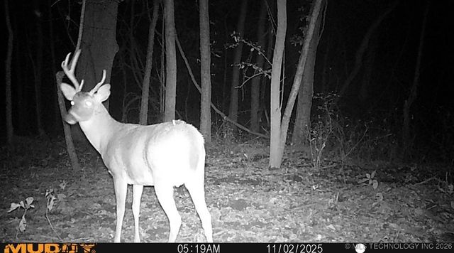 32868 E 171st Street S, Coweta, OK 74429