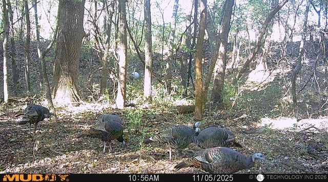 32868 E 171st Street S, Coweta, OK 74429