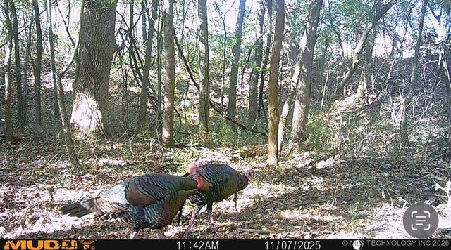 32868 E 171st Street S, Coweta, OK 74429