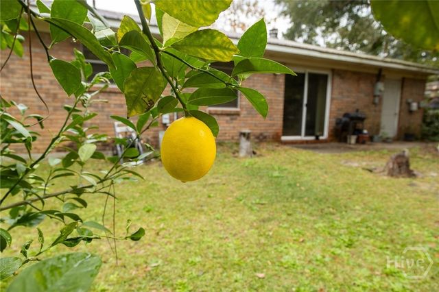 205 Whitehall Avenue, Rincon, GA 31326