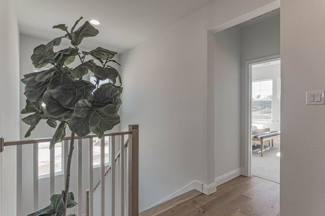 1146 Bailey Ranch Road, Aledo, TX 76008