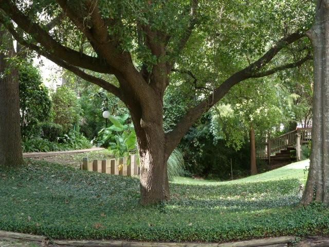 2100 Tanglewilde Street 377, Houston, TX 77063