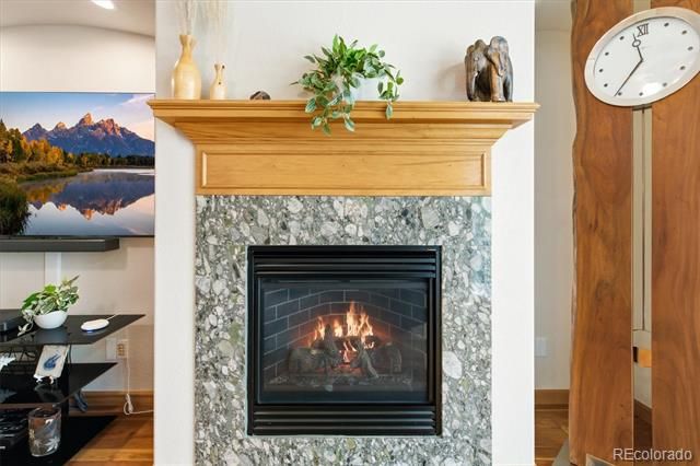 9776 S Johnson Court, Littleton, CO 80127