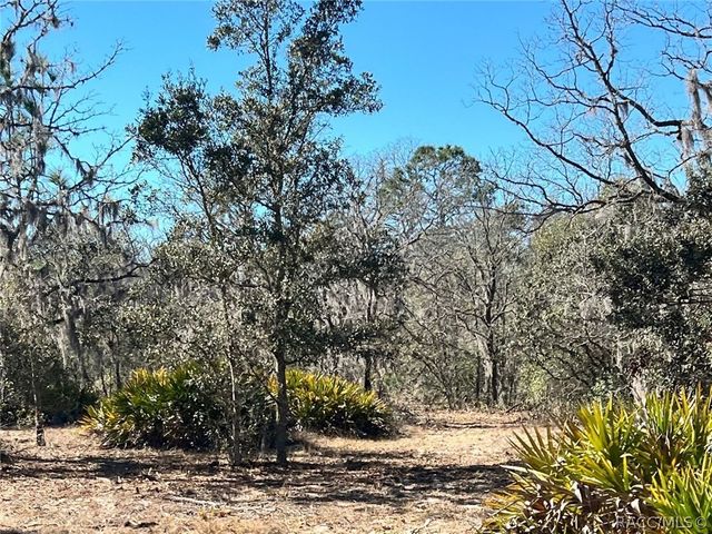 6199 W Peking Court, Dunnellon, FL 34433