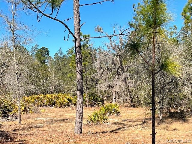 6199 W Peking Court, Dunnellon, FL 34433