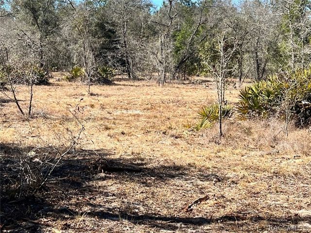 6199 W Peking Court, Dunnellon, FL 34433