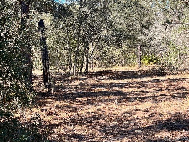 6199 W Peking Court, Dunnellon, FL 34433