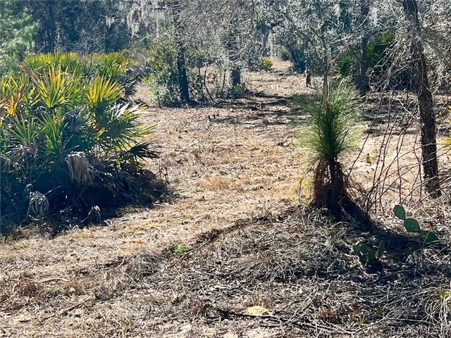 6199 W Peking Court, Dunnellon, FL 34433