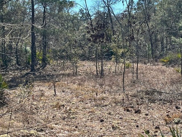 6199 W Peking Court, Dunnellon, FL 34433