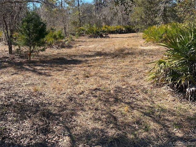 6199 W Peking Court, Dunnellon, FL 34433