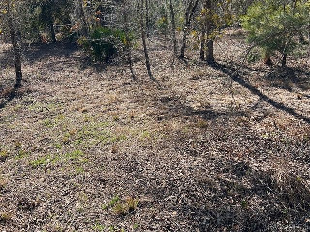 6199 W Peking Court, Dunnellon, FL 34433