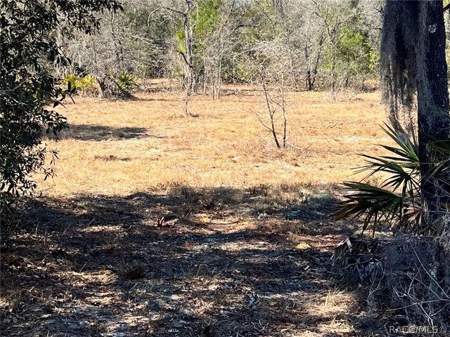 6199 W Peking Court, Dunnellon, FL 34433