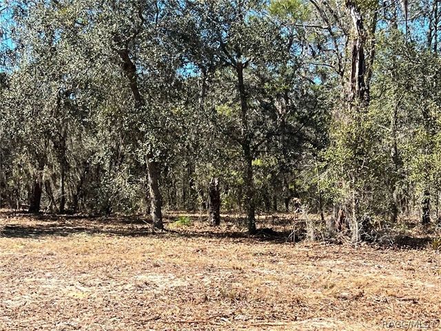 6199 W Peking Court, Dunnellon, FL 34433