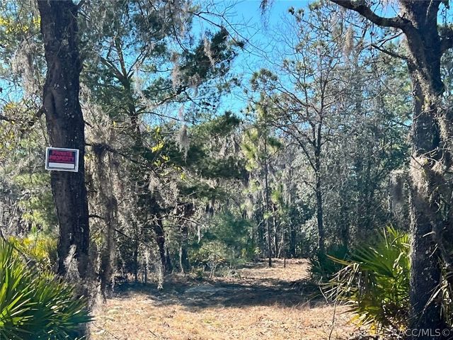 6199 W Peking Court, Dunnellon, FL 34433