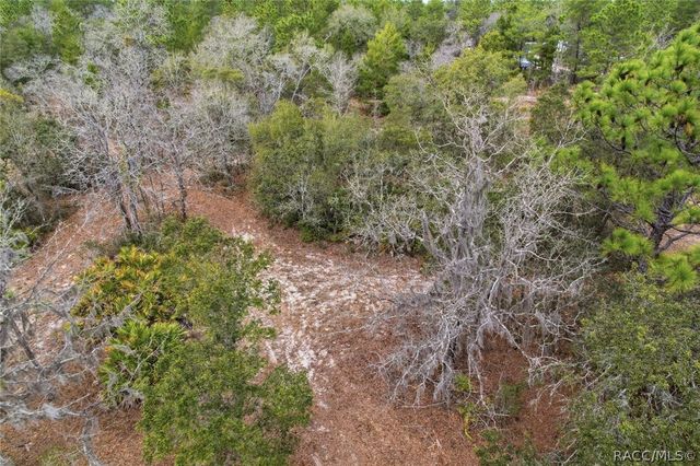 6199 W Peking Court, Dunnellon, FL 34433