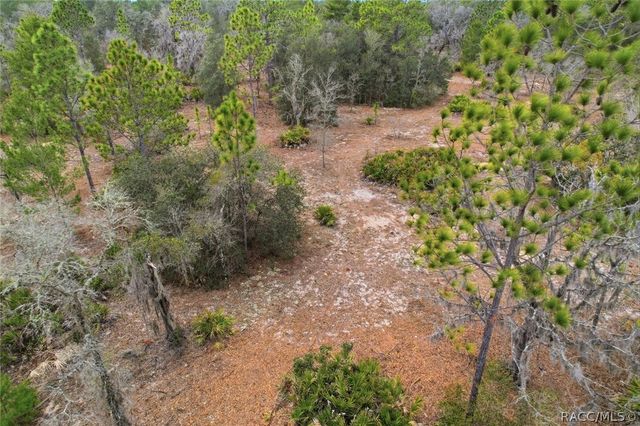 6199 W Peking Court, Dunnellon, FL 34433