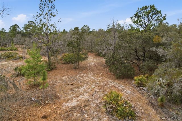 6199 W Peking Court, Dunnellon, FL 34433