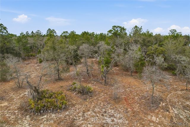 6199 W Peking Court, Dunnellon, FL 34433